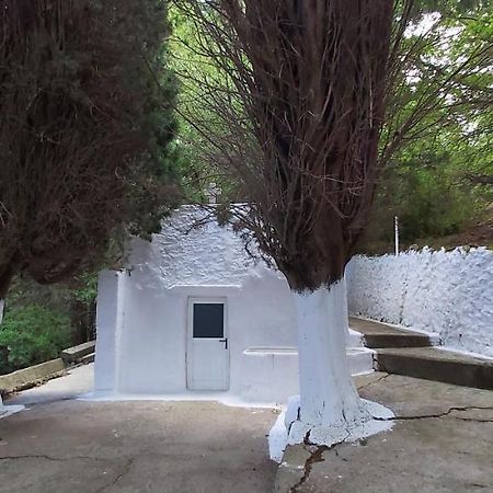 Small Traditional House In Asfendiou Kos Agios Dimitrios  Buitenkant foto