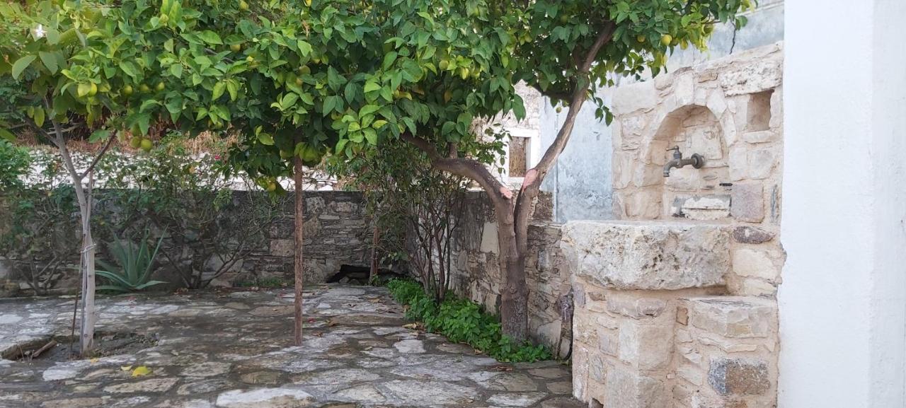 Small Traditional House In Asfendiou Kos Agios Dimitrios  Buitenkant foto